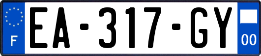 EA-317-GY