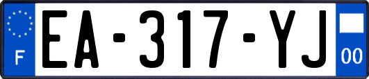 EA-317-YJ