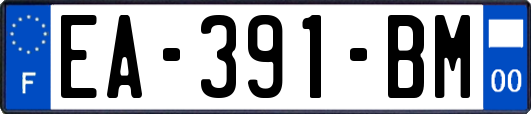 EA-391-BM