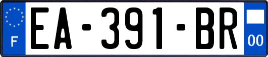 EA-391-BR