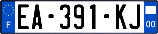 EA-391-KJ