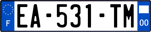 EA-531-TM