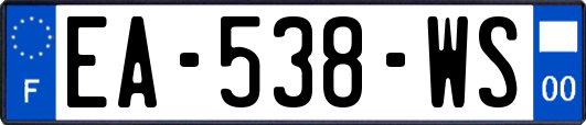 EA-538-WS