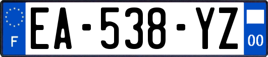 EA-538-YZ