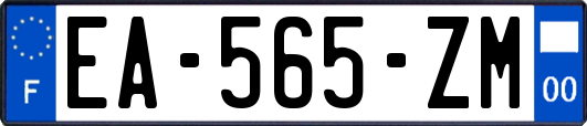 EA-565-ZM