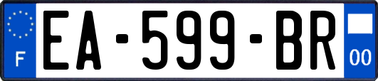 EA-599-BR