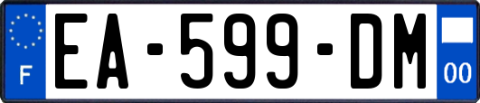 EA-599-DM