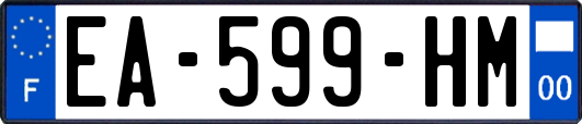 EA-599-HM