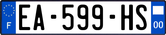 EA-599-HS