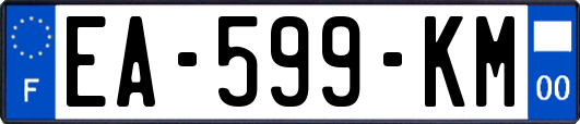 EA-599-KM