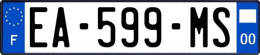 EA-599-MS
