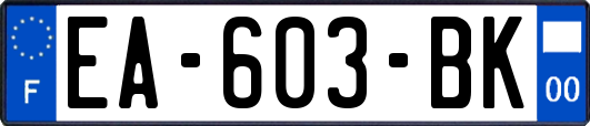 EA-603-BK