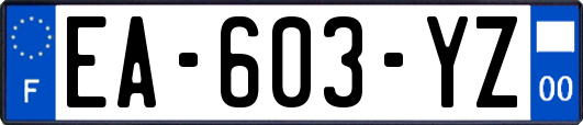 EA-603-YZ