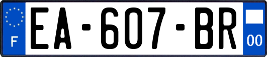 EA-607-BR