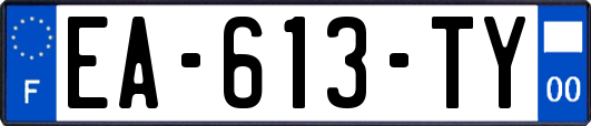 EA-613-TY