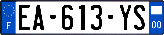 EA-613-YS