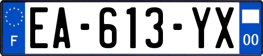 EA-613-YX