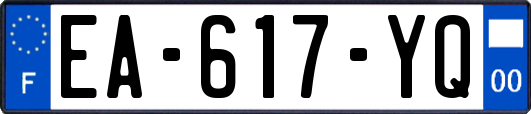 EA-617-YQ