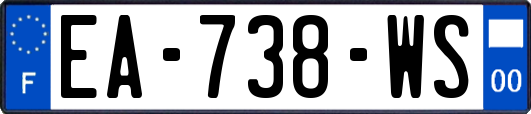 EA-738-WS