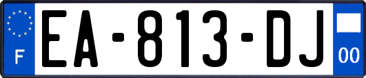 EA-813-DJ