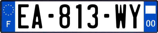 EA-813-WY