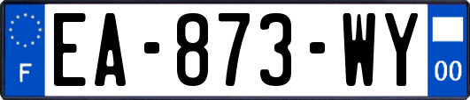 EA-873-WY