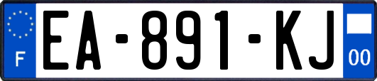 EA-891-KJ