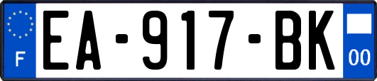 EA-917-BK