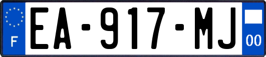 EA-917-MJ