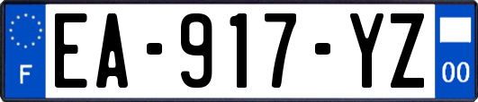 EA-917-YZ