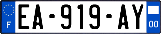 EA-919-AY