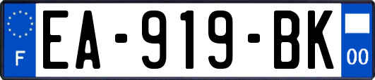 EA-919-BK