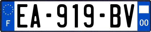 EA-919-BV