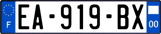 EA-919-BX