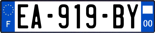 EA-919-BY