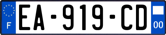 EA-919-CD