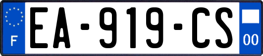 EA-919-CS