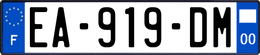 EA-919-DM