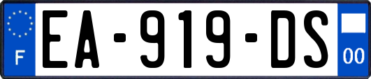 EA-919-DS