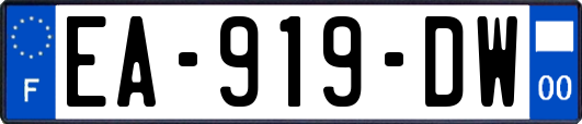 EA-919-DW