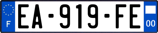 EA-919-FE