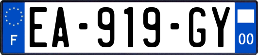 EA-919-GY
