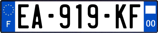 EA-919-KF