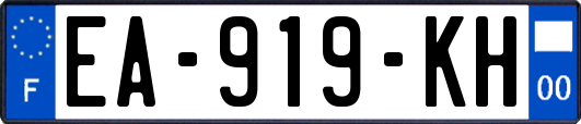 EA-919-KH