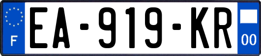 EA-919-KR