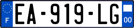 EA-919-LG