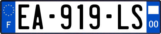 EA-919-LS