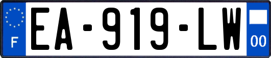 EA-919-LW