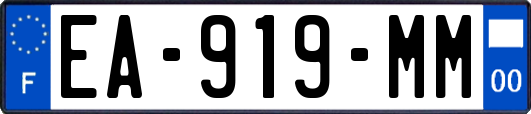 EA-919-MM