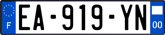 EA-919-YN